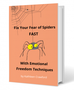 Overcome Fear of Spiders